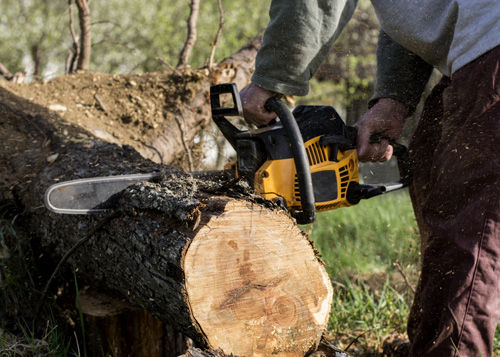 Dla ogrodnictwa i przemysłu leśnego